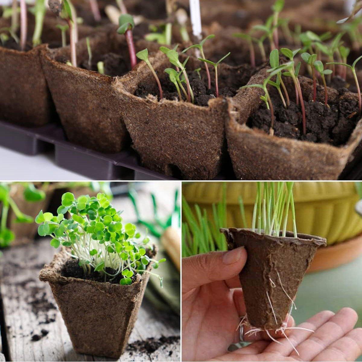 Boost Your Garden with Eco-Friendly Pulp Nursery Pots