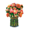 Dahlia Flower
