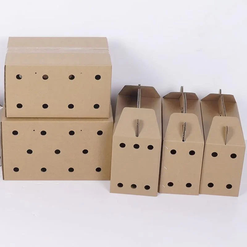 Faun Container Convenient Animal Shipping Container for Your Animal Companion ...