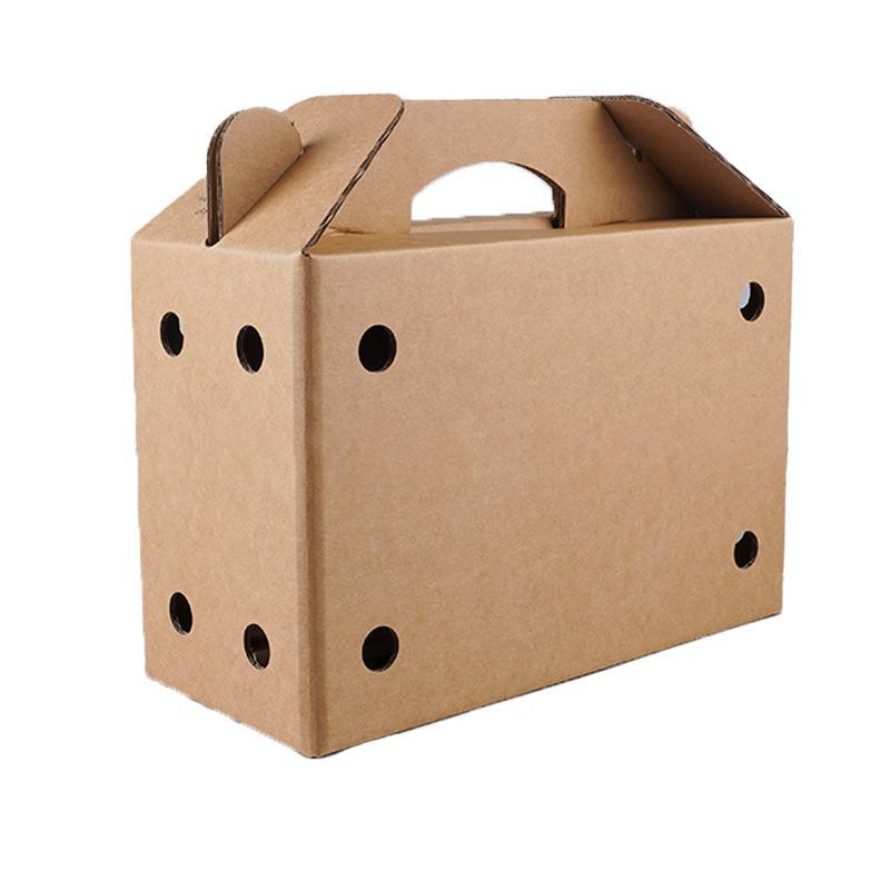 Cardboard Pet Carrier 10PCS 3Sizes Kraft