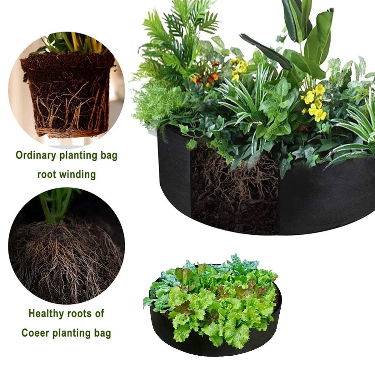 Discover the Versatile Felt Grow Bags for Dynamic Gardening