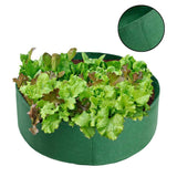 Discover the Versatile Felt Grow Bags for Dynamic Gardening