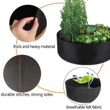 Discover the Versatile Felt Grow Bags for Dynamic Gardening