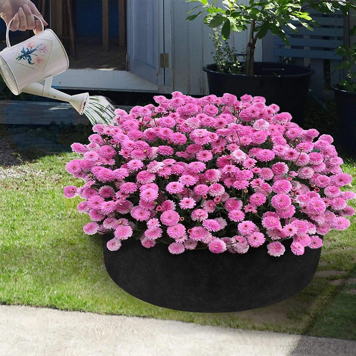 Discover the Versatile Felt Grow Bags for Dynamic Gardening