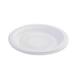 Disposable Plates 100PCS Corn Starch Degradable for Parties and Events