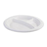 9inch(3 compartment plate)