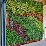 Durable Plant Wall Planting Box for Your Gardening Needs