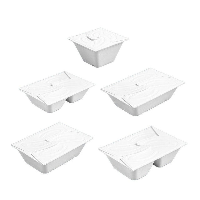 Enhance Your Food Storage with Eco-Friendly Disposable Salad Boxes