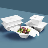 Enhance Your Food Storage with Eco-Friendly Disposable Salad Boxes