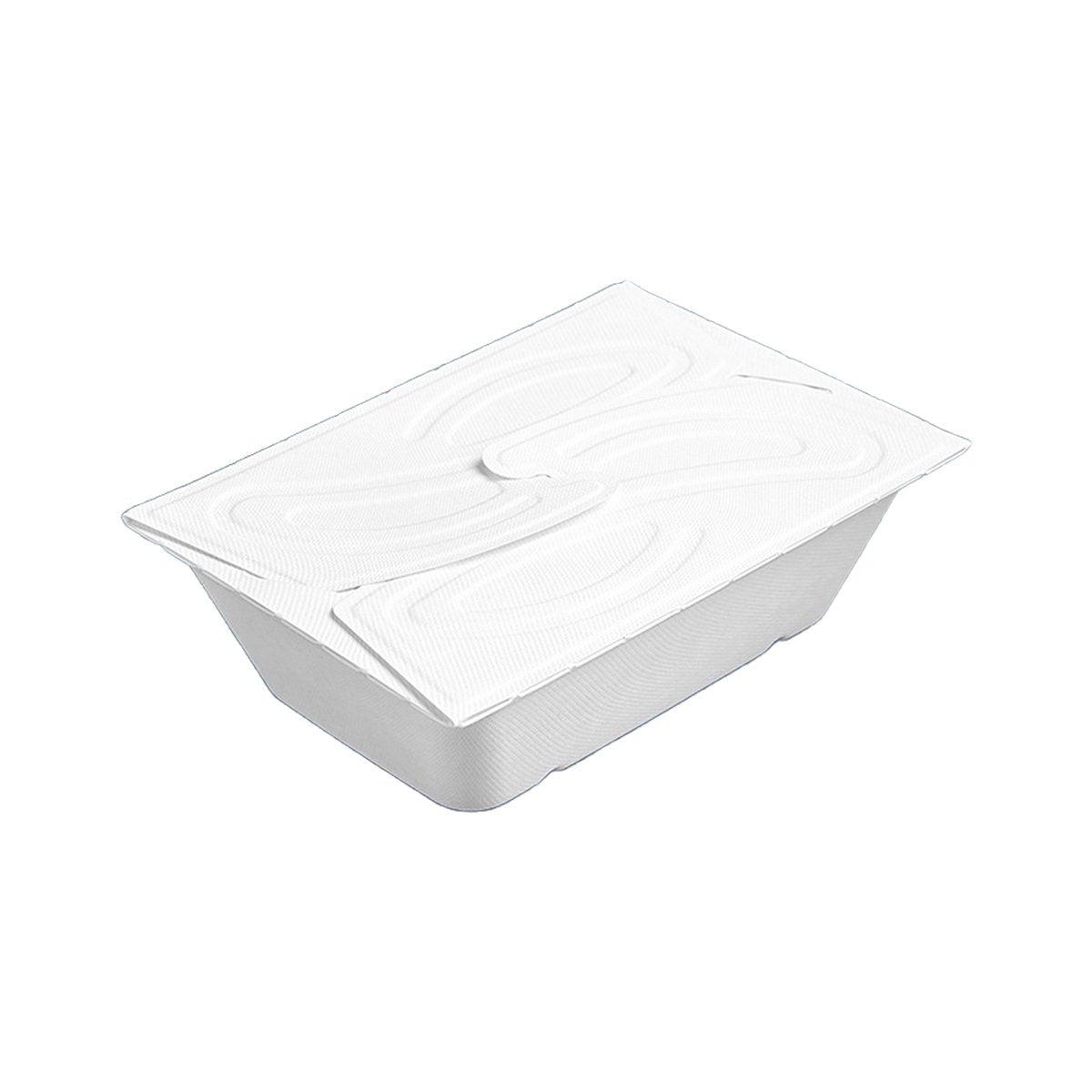 Enhance Your Food Storage with Eco-Friendly Disposable Salad Boxes