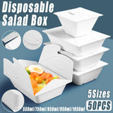 Enhance Your Food Storage with Eco-Friendly Disposable Salad Boxes