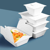 Enhance Your Food Storage with Eco-Friendly Disposable Salad Boxes