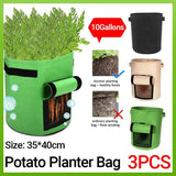 Healthy potato plants growing in potato grow bags