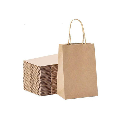 A selection of Paper Bags with Handles in various sizes on a store display