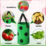 Hanging Planter Bags 3PCS