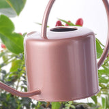 High-Quality Metal Retro Watering Can for Indoor and Garden Plants 1.3L