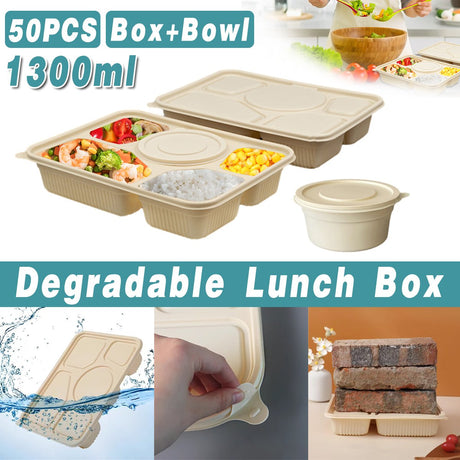 50pcs Degradable Corn Starch Lunch Box Eco-Friendly Biodegradable Food Container