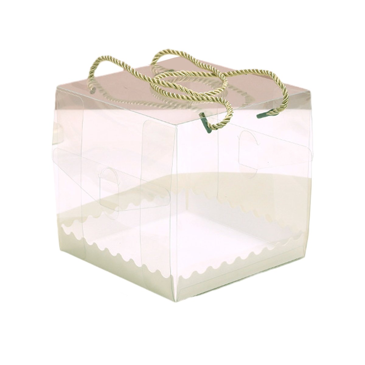 Transparent Plastic Cake Roll Packing Boxes 25pcs