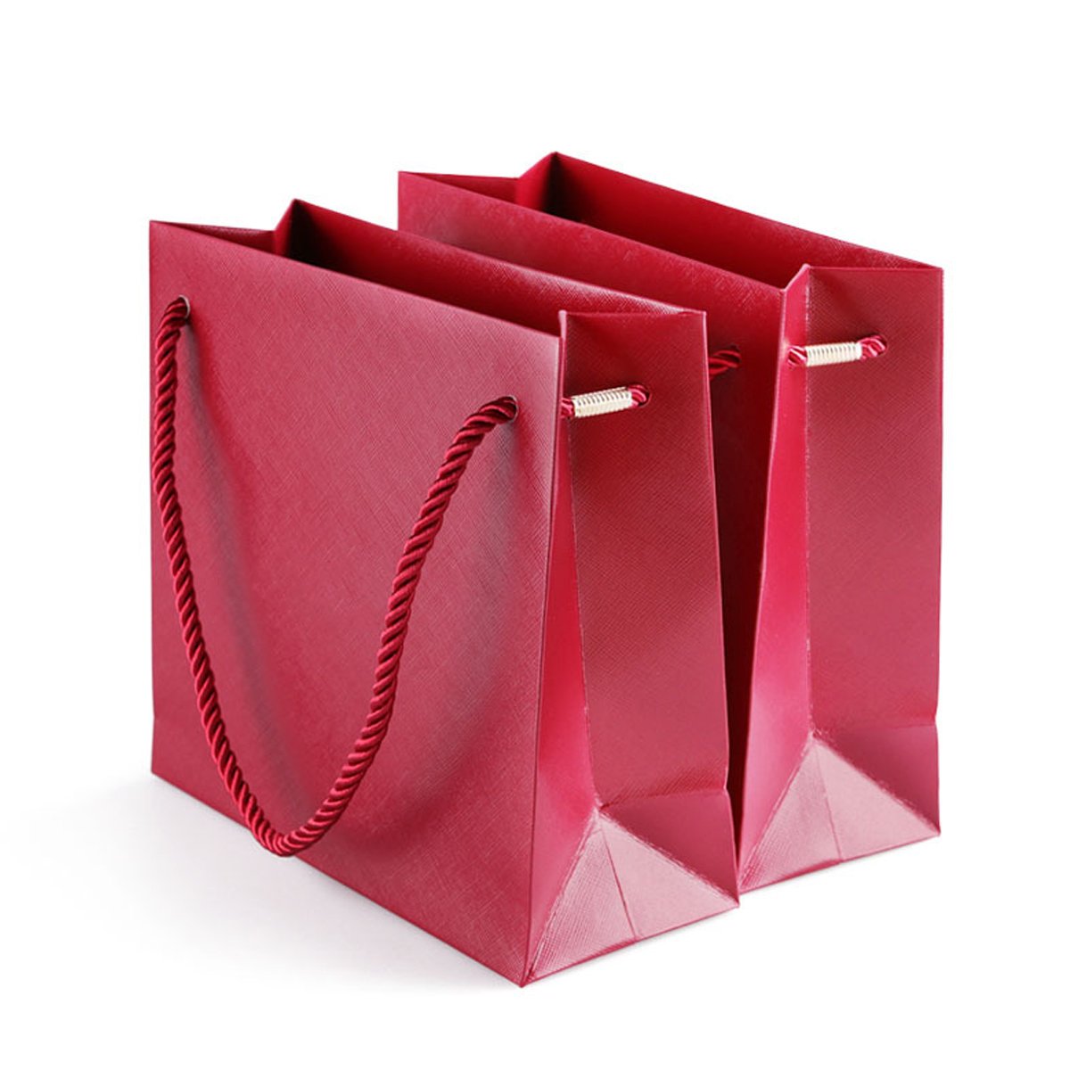 Elevate Your Gifting with Elegant Tote Gift Bags