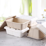 Sustainable and Sturdy Pulp Lunch Boxes for Every Meal
