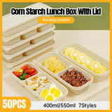 Eco-Friendly Disposable Lunch Box for Convenient Meals