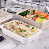 Sustainable and Sturdy Pulp Lunch Boxes for Every Meal