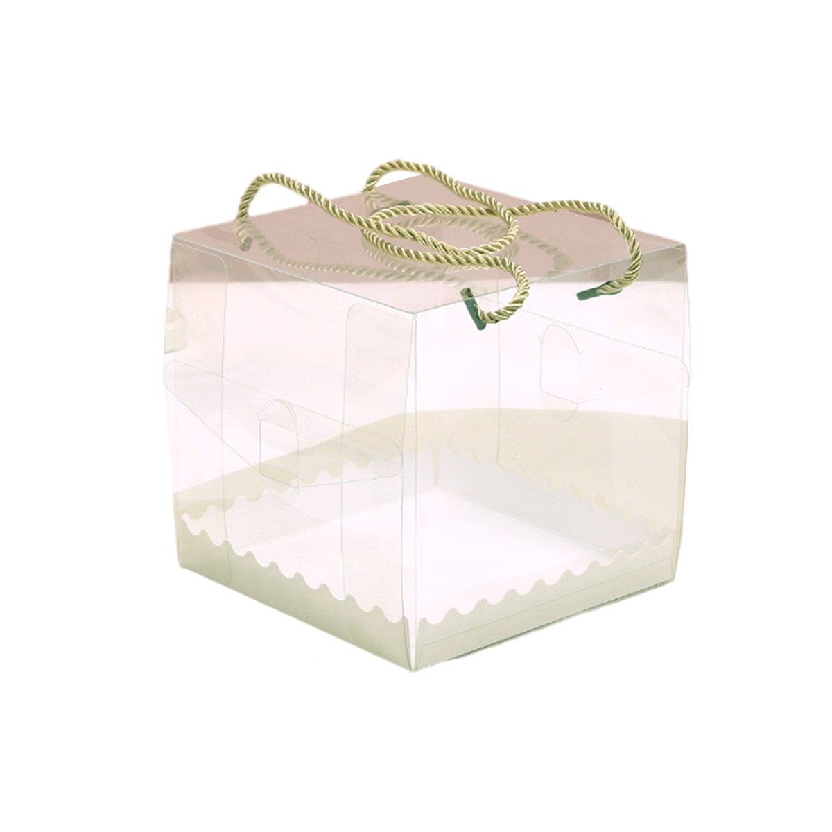 Transparent Plastic Cake Roll Packing Boxes 25pcs