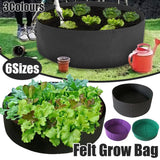 Discover the Versatile Felt Grow Bags for Dynamic Gardening