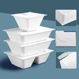 Enhance Your Food Storage with Eco-Friendly Disposable Salad Boxes