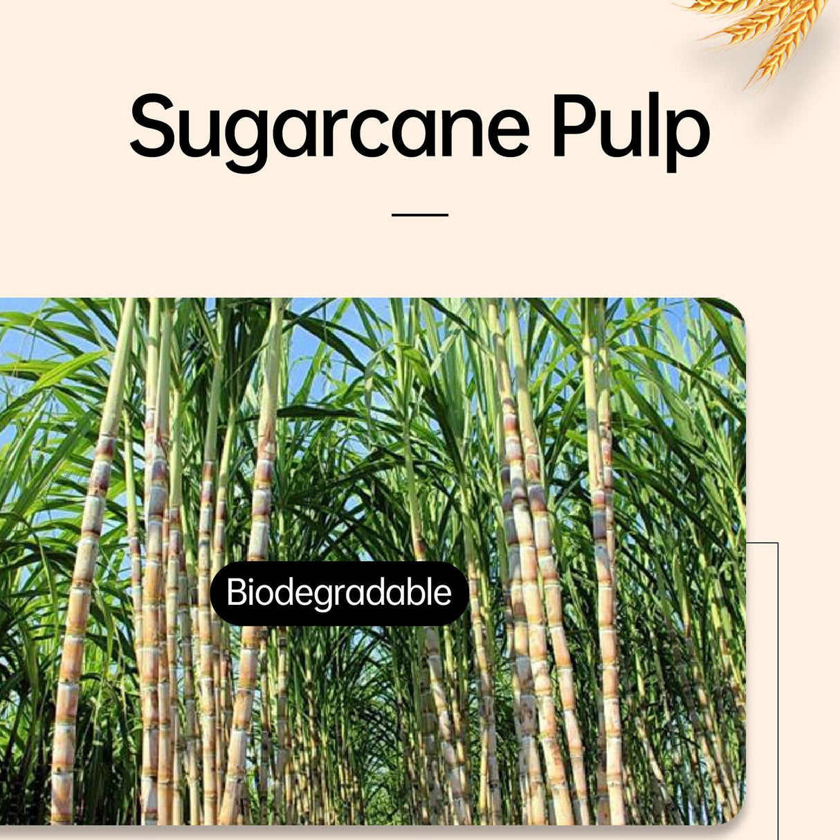 Eco-Friendly Disposable Sugarcane Pulp Ice Cream Cups - 50pcs