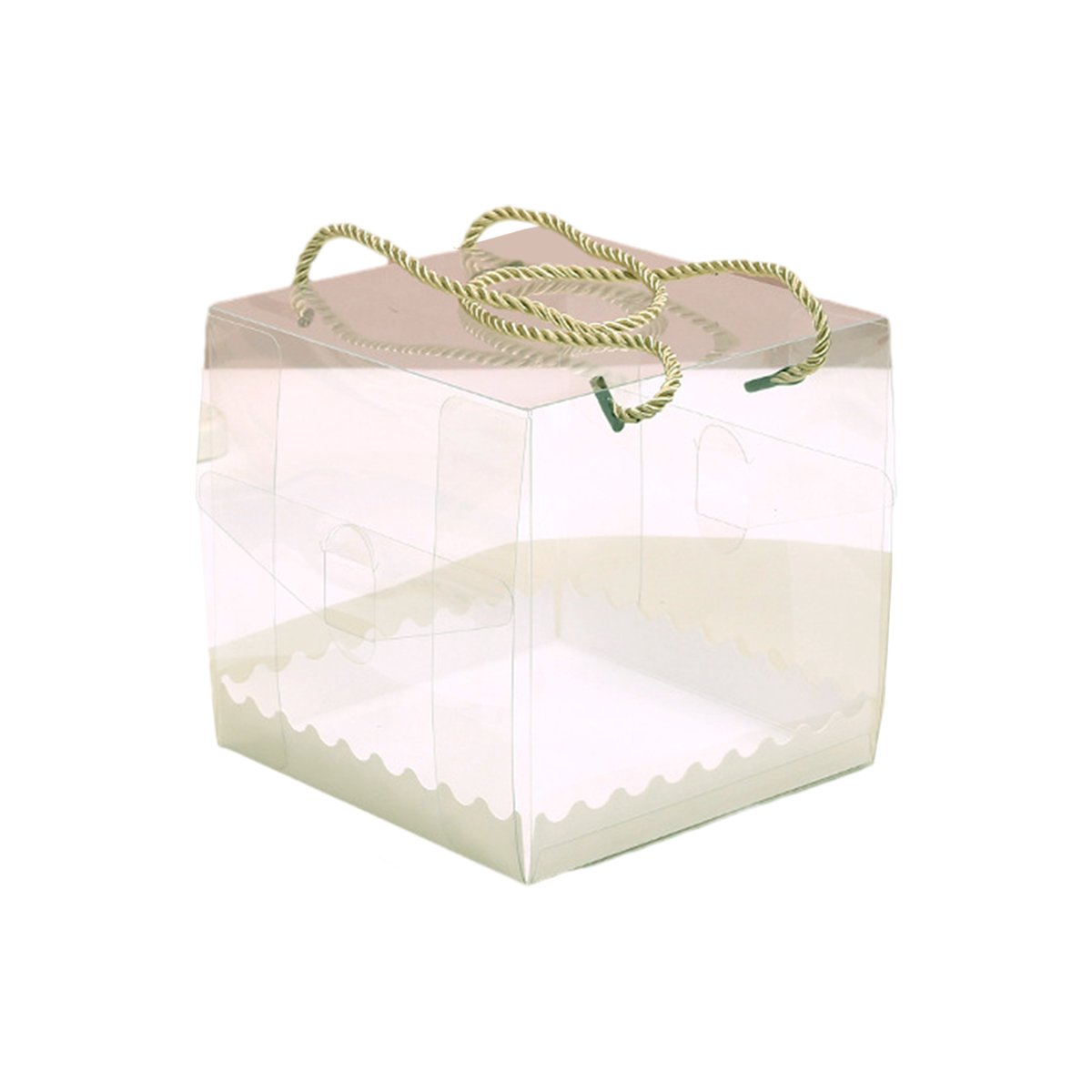 Transparent Plastic Cake Roll Packing Boxes 25pcs