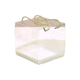 Transparent Plastic Cake Roll Packing Boxes 25pcs