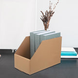 Carton Storage Box 2Sizes 10PCS