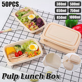 Eco-Friendly Corn Starch Lunch Boxes for Sustainable Meal Packaging