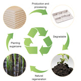 Disposable Compartment Lunch Box Biodegradable 800ml 1200ml