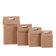 Eco-friendly brown paper bags with handles