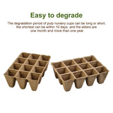 Optimize Seedling Growth with 12 Grid Pulp Seedling Pots