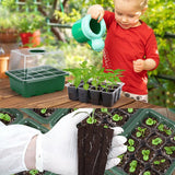 Plant Seeds Grow Box 3-10PCS 12Hole Propagation Nursery Seedling Starter Tray - Discount Packaging Warehouse