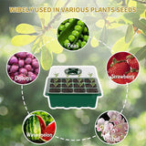 Plant Seeds Grow Box 3-10PCS 12Hole Propagation Nursery Seedling Starter Tray - Discount Packaging Warehouse