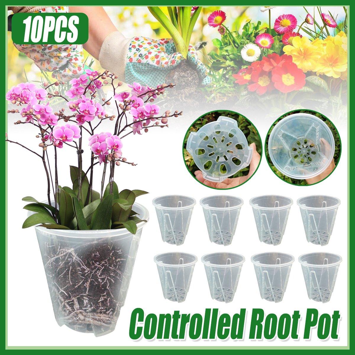 Promote Healthy Growth with Orchid Pots with Holes