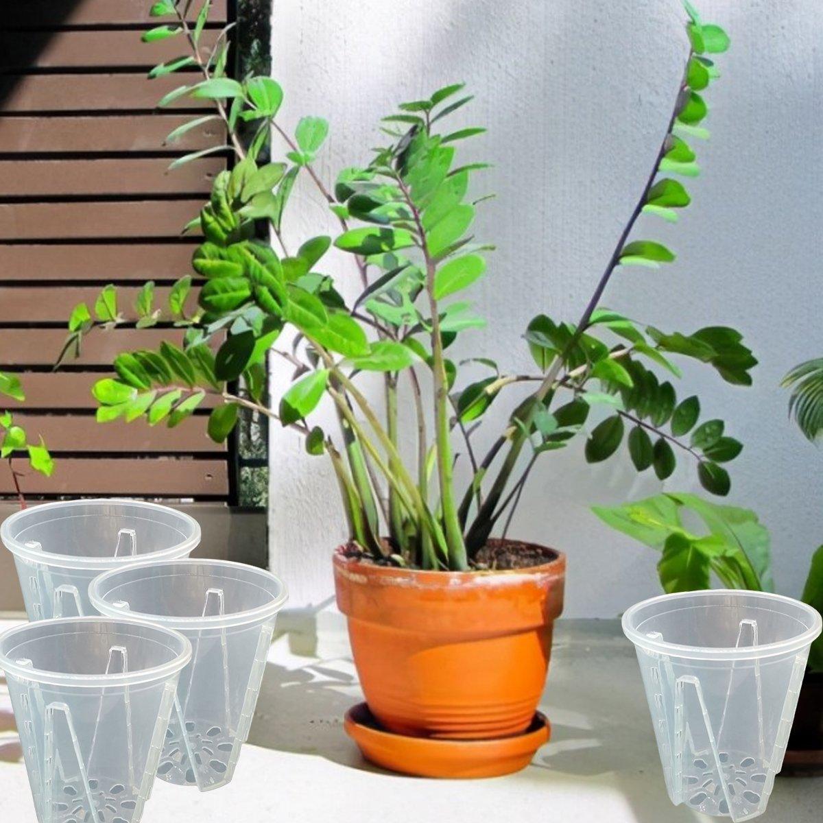 Promote Healthy Growth with Orchid Pots with Holes