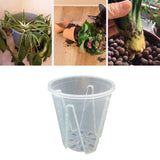 Promote Healthy Growth with Orchid Pots with Holes