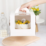 Delicious cupcakes displayed in an elegant Pastry Box with a clear viewing window