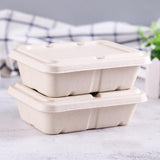 Sustainable and Sturdy Pulp Lunch Boxes for Every Meal