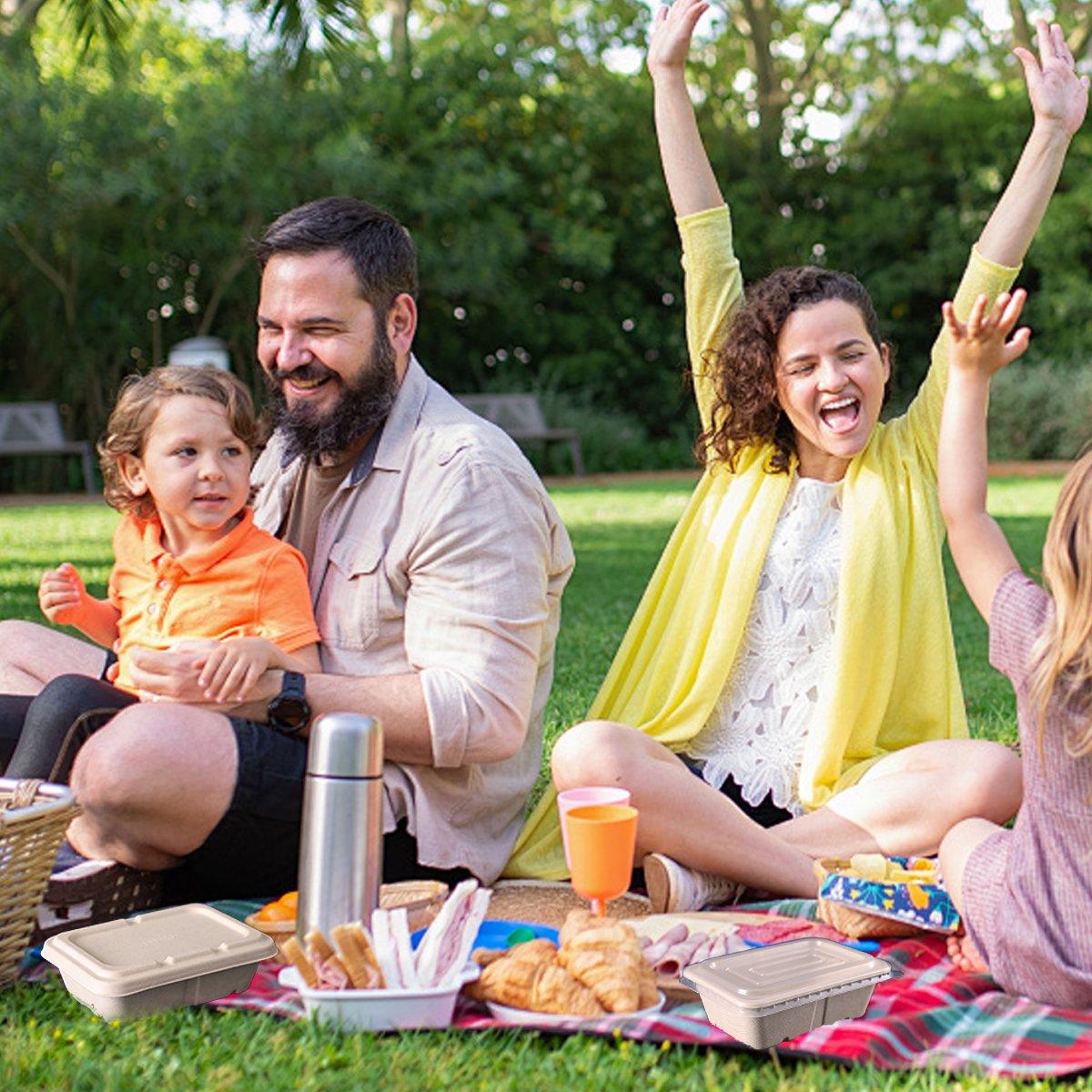 Sustainable and Sturdy Pulp Lunch Boxes for Every Meal