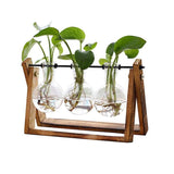 Wooden Frame Glass Vase 1PC 3Sizes Planter Desktop Hydroponics - Discount Packaging Warehouse