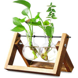 Wooden Frame Glass Vase 1PC 3Sizes Planter Desktop Hydroponics - Discount Packaging Warehouse