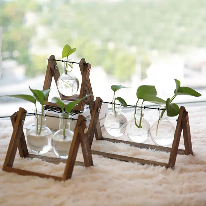 hydroponic glass planter Glass Terrarium with Wooden Stand