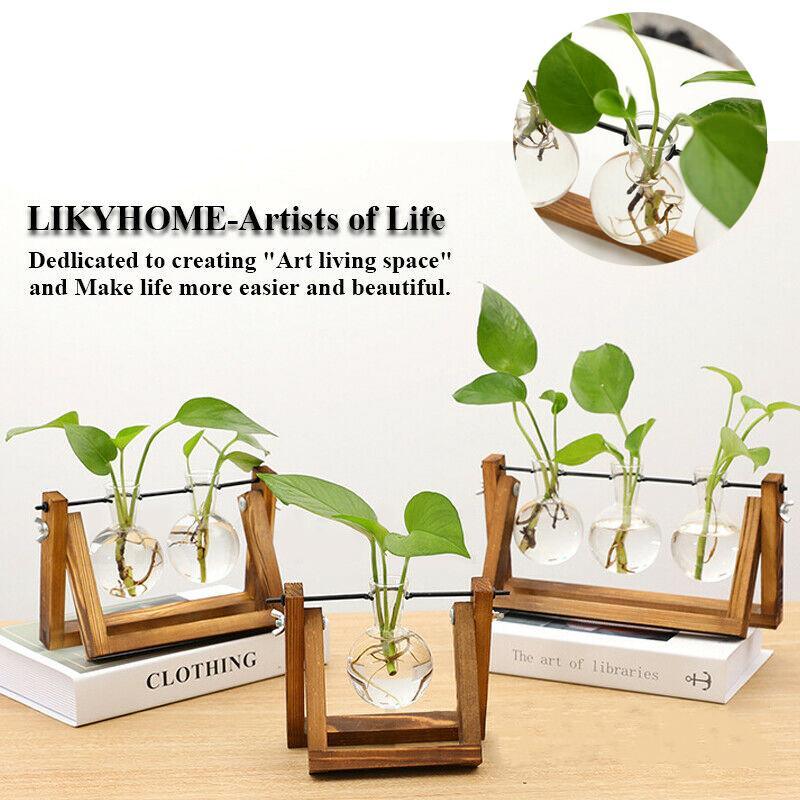 Wooden Frame Glass Vase 1PC 3Sizes Planter Desktop Hydroponics - Discount Packaging Warehouse