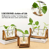 Wooden Frame Glass Vase 1PC 3Sizes Planter Desktop Hydroponics - Discount Packaging Warehouse